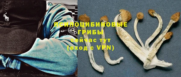 ALPHA PVP Алексин