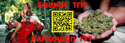 шишки Гай