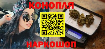 шишки Гай