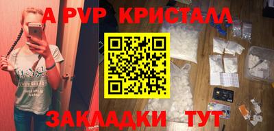 шишки Гай
