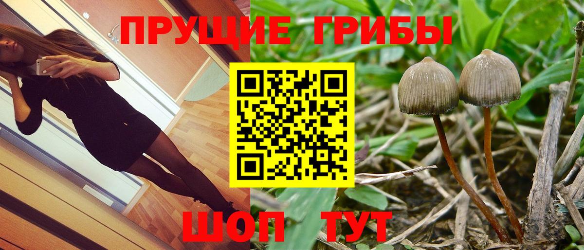 Сунжа  Галлюциногенные грибы MAGIC MUSHROOMS  Вход с VPN  Галлюциногенные грибы Magic Shrooms 