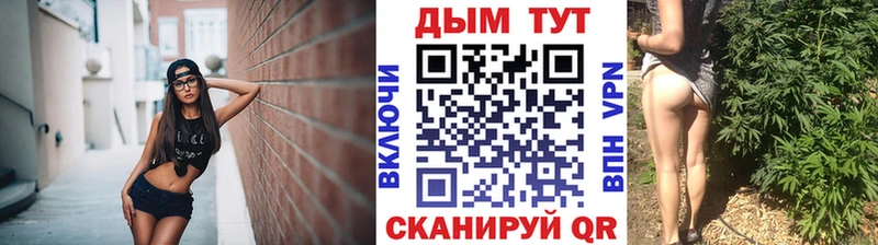 Шишки марихуана индика  Сунжа 